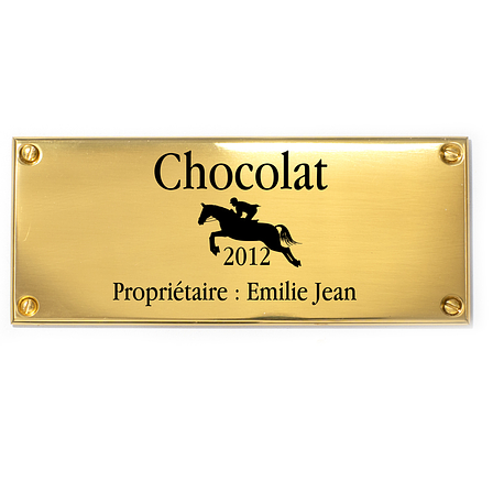 Plaques En Laiton, Rectangulaire Laiton/Lisse Laiton Brillant. Fixation: Vis
