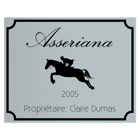 Plaque chevaux - Plaque de box cheval à personnalisée - Argent/Noir - Plastique - Plaqueomatic.fr