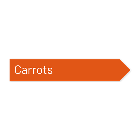Garden sign carrots - Personalised - Orange/white - Plastic - Signomatic.co.uk