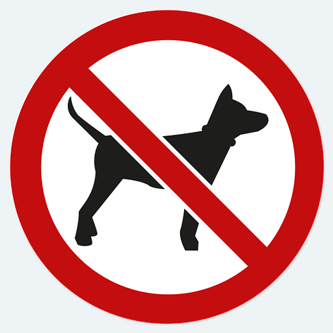 CARTELLI ATTENTI AL CANE IN FOREX - JACK RUSSELL Misura 25 x 12,5 cm