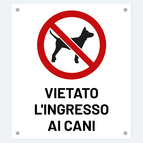 Cartello Attenzione Cane Setter Inglese – 30x15 Cm PVC Con Viti Inox – Fabbricato In Francia - 3