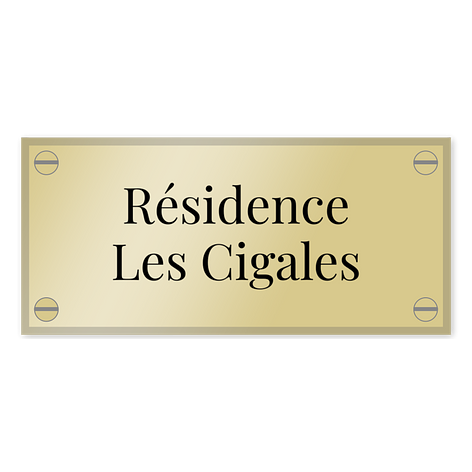 Plaque laiton - Laiton brillant - 120x55 mm - Vis - Plaqueomatic.fr