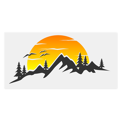 Transparent Decal - Vinyl - 200x100 mm - Signomatic.co.uk