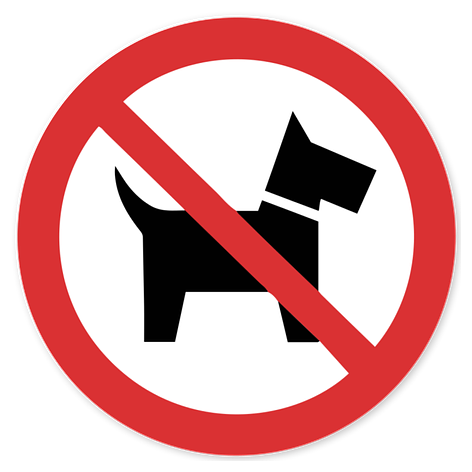 Prohibition Sign - No dogs allowed - 100x100 mm - Signomatic.co.uk